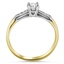 The Noma Ring, smallside view