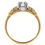 The Dorit Ring, smallside view