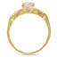 The Shirlene Ring, smallside view
