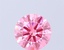 0.95 Ct. Fancy Vivid Pink Round Lab Grown Diamond