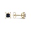 The Cargill Earrings, smallside view