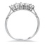 The Dulce Ring, smallside view