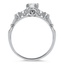 The Rooney Ring, smallside view