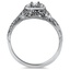 The Kendra Ring, smallside view