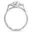 The Vapasana Ring, smallside view