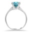 The Torey Ring, smallside view