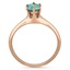 The Vega Ring, smallside view