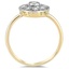 The Ailis Ring, smallside view