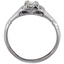The Lina Ring, smallside view