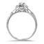 The Buchan Ring, smallside view
