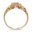 The Calais Ring, smallside view
