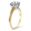 The Sarina Ring, smallside view