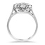 The Kasa Ring, smallside view