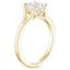 18K Yellow Gold Reverie Solitaire Ring, smallside view
