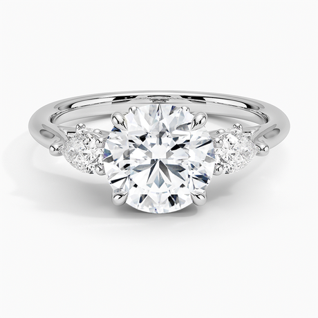 Platinum Secret Garden Gallery Three Stone Diamond Ring