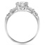 The Iberis Ring, smallside view