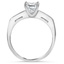 The Thiebe Ring, smallside view