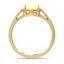 The Orsola Ring, smallside view