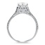 The Torri Ring, smallside view