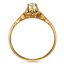 The Paris Ring, smallside view
