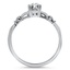 The Ferrara Ring, smallside view