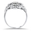 The Shawn Ring, smallside view