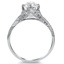 The Chantrea Ring, smallside view