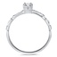 The Constance Ring, smallside view