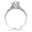 The Della Ring, smallside view