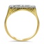 The Charaka Ring, smallside view
