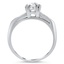 The Mercury Ring, smallside view