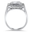 The Percheron Ring, smallside view