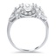 The Gerbera Ring, smallside view