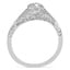 The Adair Ring, smallside view