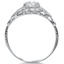 The Brinley Ring, smallside view