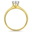 The Majdoleen Ring, smallside view
