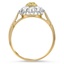 The Ginevra Ring, smallside view