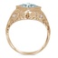 The Wynne Ring, smallside view