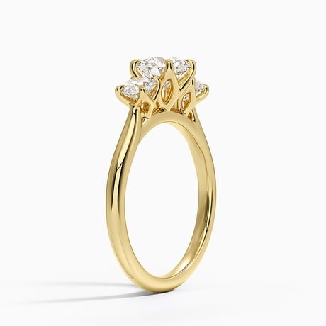 Elodie Perfect Fit Three Stone Diamond Ring
