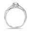 The Guenna Ring, smallside view