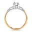The Laticia Ring, smallside view