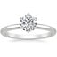 Platinum Esme 1.8mm Ring, smalltop view