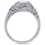 The Erryn Ring, smallside view