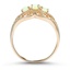 The Sharri Ring, smallside view