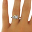 The Windemere Ring, smalltop view on a hand