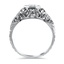 The Delos Ring, smallside view