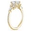18K Yellow Gold Luxe Nadia Pavé Diamond Ring (1/2 ct. tw.), smallside view