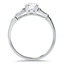 The Westchester Ring, smallside view