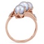 The Vaughn Ring, smallside view