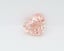 3.02 Ct. Fancy Vivid Pink Heart Lab Grown Diamond